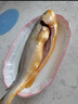 深海野游大黃魚(yú)1條(500-600g) 曬單實(shí)拍圖