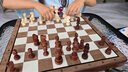 冠小二國際象棋小學(xué)生兒童磁性便攜實(shí)木棋盤比賽用棋類 大號39CM丨磁性丨送書+雙后+袋子 曬單實(shí)拍圖
