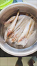 海捕沙丁魚深海水產(chǎn)沙尖海魚冰鮮深海魚小沙丁魚新鮮冷凍 2斤嘗鮮沙丁魚 曬單實拍圖