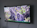 酷開(kāi)創(chuàng)維K3 2025款 55英寸電視 一級(jí)能效 2+32GB  144Hz AI遠(yuǎn)場(chǎng)語(yǔ)音 以舊換新補(bǔ)貼液晶游戲電視55P3F-J 曬單實(shí)拍圖