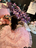 緋垚Lolita蕾絲圓頭洛麗塔單鞋芭蕾風(fēng)少女百搭甜美女粗跟高跟鞋蝴蝶結(jié) 洛麗塔蝴蝶單鞋【粉色】37碼 曬單實(shí)拍圖