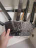 普聯(lián)（TP-LINK）大道路由器7DR6430 BE6400 5G WiFi7千兆雙頻家用高速穿墻 2.4G wifi6無線 2.5G網(wǎng)口 游戲加速 曬單實拍圖