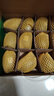 佳沛（zespri）新西蘭 陽光金奇異果12粒禮盒特大果單果約122-146g 獼猴桃 水果 曬單實拍圖
