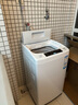Haier/海爾洗衣機(jī)波輪神童6.5公斤洗衣機(jī)全自動(dòng)小型家用租房宿舍 智能稱(chēng)重量 桶自潔 以舊換新 6.5KG小神童波輪洗衣機(jī)全自動(dòng)+桶自潔 曬單實(shí)拍圖