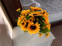 玖紋豹立式空調上方擺件冰箱上面擺的花客廳頂部裝飾酒柜輕奢花瓶過(guò)年 大向日葵+陶瓷花瓶 (插好成品發(fā) 曬單實(shí)拍圖