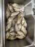 老壇五谷雜糧1000克玉米小麥水麥庫池塘鯽魚(yú)鯉魚(yú)草魚(yú)窩料谷麥發(fā)酵 老壇五谷雜糧1000克（玉米） 曬單實(shí)拍圖