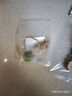 宜特（EETOYS）羽毛木天蓼串貓玩具磨牙棒薄荷自嗨解悶逗貓棒貓咪玩用品  曬單實(shí)拍圖