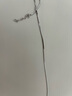 老銀匠s925銀項鏈細裸素鏈鎖骨鏈簡約基礎銀鏈子單鏈條無吊墜女士蛇骨鏈 蛇骨鏈/40+5cm粗1.5mm 曬單實拍圖