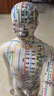 中量針灸人體模型十二經(jīng)絡(luò)穴位圖真人版中醫(yī)銅人可扎針小皮人全身經(jīng)脈 【扎針軟款】白色男模 62cm 曬單實拍圖
