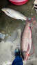 迎科高端進口日本原裝超柔軟釣魚魚線魚竿主線強拉力尼龍線不打卷子線 102米透明線 【2組-綁鉤很好用】 6.0【進口無損原絲】 曬單實拍圖