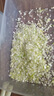 慕弗（MUPOOL）商用多功能切菜機(jī)電動(dòng)蘿卜土豆洋蔥切厚薄片切姜絲大蔥末食堂餐廳 【大蔥末機(jī)】粗細(xì)可選 曬單實(shí)拍圖