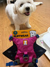拉夫威爾ruffwear嗨輕狗狗胸背帶狗背帶中小型犬雪納瑞背帶式狗狗牽引繩 朝霞粉 XS 曬單實拍圖