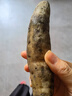 廣西白皮牛奶人參薯9斤白心板栗番薯新鮮自種地瓜山芋網(wǎng)紅薯整箱 9斤整箱【100-200g】 曬單實拍圖