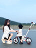 飛鴿兒童三輪車(chē)腳踏車(chē)一車(chē)五用平衡車(chē)1-3-6歲小孩自行車(chē)寶寶遛娃推車(chē) 櫻桃紅 五合一 帶推把 音樂(lè )燈光 兒童節生日周歲禮物 曬單實(shí)拍圖