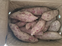 魯禧廣西新鮮紫薯 當(dāng)季精品紫薯地瓜 軟糯香甜健康輕食生鮮蔬菜 中果凈重4.5斤（單果150-400g） 曬單實(shí)拍圖