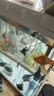 直隸戲水軒魚(yú)食錦鯉魚(yú)飼料小顆粒金魚(yú)魚(yú)糧通用小型魚(yú)不渾水高蛋白螺旋藻魚(yú)料 精選飼料【500克】 適合【魚(yú)長(cháng)度4-9厘米吃的】小顆粒 曬單實(shí)拍圖