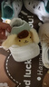 回力女鞋新款板鞋女透氣可愛(ài)厚底百搭小白鞋子女 5022Z 米/黃 39 曬單實(shí)拍圖