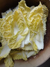 山東娃娃菜新鮮小白菜當(dāng)季黃牙白蔬菜火鍋涮菜源頭直發(fā)包郵 2包6顆裝 曬單實(shí)拍圖