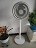 美的（Midea）【暴風循環(huán)】空氣循環(huán)扇大風量搖頭電風扇家用臺式落地扇輕音臥室節(jié)能小風扇柔風輕羽扇 FGA24TQ 曬單實拍圖