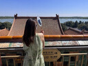 凡小如新中式連衣裙夏天女2025年新款改良旗袍掛脖盤扣國風清冷高級感裙 霧林綠 L 【建議115-125斤】 曬單實拍圖