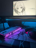 ROG槍神9 Plus【國家補貼20%】酷睿U9 18英寸 游戲本筆記本電腦 U9 275HX RTX5070Ti 16G 1TB高速固態(tài)硬盤 2.5K 240Hz P3廣色域 曬單實拍圖