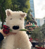 JELLYCAT英國告白玫瑰西高地小狗毛絨玩偶可愛(ài)蘇格蘭梗犬陪伴安撫玩具禮物 玫瑰西高地+禮袋 25cm 曬單實(shí)拍圖