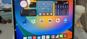 Apple蘋(píng)果平板電腦iPadPro18/20/21/22/24款 M2/M4高刷二手平板電腦 2018款12.9寸pro 256G WIFI版本（顏色備注留言） 99成新 曬單實(shí)拍圖