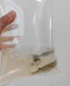弓斑河豚魚(yú)活體潛水艇小型巧克力娃娃熱帶淡水狗頭魚(yú)觀(guān)賞寵物魚(yú) 弓斑河豚 曬單實(shí)拍圖