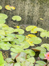 兔貝樂(lè)嬰兒童床圍欄寶寶護(hù)欄防摔防護(hù)欄床圍防掉床邊擋板 1.8米芝白一面 曬單實(shí)拍圖