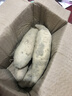 廣西白皮牛奶人參薯9斤白心板栗番薯新鮮自種地瓜山芋網(wǎng)紅薯整箱 3斤整箱【100-200g】 曬單實拍圖