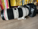 佳能Canon EF16-35 24-70 70-200mm二手單反鏡頭 大三元紅圈廣角中長(zhǎng)變焦鏡頭 EF 70-200 F2.8L IS II USM 單鏡頭【套餐更劃算】 99成新 曬單實(shí)拍圖