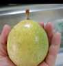 京鮮生 黃金百香果 2斤裝 約13-15粒 單果約70g 酸甜欽蜜 生鮮水果 曬單實拍圖