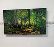 長虹55D6H Mini 55英寸AI TV MiniLED內(nèi)置分艙回音壁 液晶電視機 一級能效 55英寸 曬單實拍圖