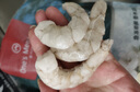 1號會員店白蝦仁0添加保水劑31-40只/磅無冰去蝦線凈重2斤(66-88只) 生鮮 曬單實拍圖