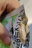 減肥零食0脂肪0糖低熱量.雞胸肉丸腸餅腿牛肉類(lèi)減期代餐即食整箱 【低脂控卡】純肉輕食包*18袋 曬單實(shí)拍圖