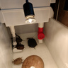 尼特利水族時光變頻水泵藍(lán)牙智控魚缸潛水泵低噪小型底吸水陸兩用循環(huán)泵 22W【藍(lán)牙版】20檔+2500L流量+24V低壓 曬單實拍圖