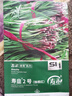 壽禾韭菜種子苗紫根寬葉四季菜籽 壽韭2號紫根韭菜(獨根紅)種子25g 曬單實拍圖