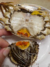 【活蟹】陽(yáng)澄清歆大閘蟹 鮮活特大螃蟹公蟹母蟹 海鮮水產(chǎn)生鮮禮盒 精品六月黃3.0-3.3兩 十只禮盒裝 曬單實(shí)拍圖