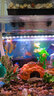 易丹魚缸燈防水t8燈管三色變光潛水可調(diào)色照明水族箱龍魚小型增艷 大廣角三色會(huì)變光（114cm/24W） 曬單實(shí)拍圖