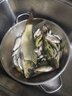 民間藝人魚(yú)護桶加厚雙層漁護水桶多功能折疊裝魚(yú)桶活魚(yú)桶活魚(yú)袋 多功能魚(yú)護桶 曬單實(shí)拍圖