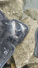 南北西部風(fēng)鯪魚(yú)顆粒專(zhuān)攻廣東鯪魚(yú)土鯪泰鯪紅蟲(chóng)野釣湖庫打窩料聚魚(yú)誘魚(yú) 鯪魚(yú)大顆粒（8.0mm） 400gX3袋 曬單實(shí)拍圖