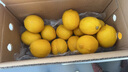 京鮮生 安岳黃檸檬16粒 單果95g-120g 生鮮水果 曬單實拍圖