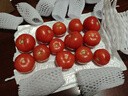正宗沙瓤西紅柿水果番茄自然熟新鮮蔬菜生鮮減肥單果80g起 4斤 帶箱 曬單實(shí)拍圖