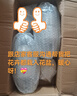 綠蔭巷子多肉植物組合套餐肉肉室內(nèi)植物辦公室電腦桌面盆栽好養(yǎng)活小盆栽 【昂斯諾】精養(yǎng)大顆 含瓷盆+托 曬單實(shí)拍圖