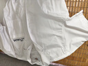 dickies2022春夏搭襯衫男系扣翻領(lǐng)短袖襯衫DK010211 白色 M  曬單實(shí)拍圖
