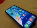 藍(lán)猩先生適用蘋果16promax鋼化膜高清防指紋iphone16promax手機(jī)膜保護(hù)貼膜  曬單實(shí)拍圖