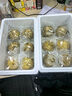 頌尚福鮮菜菜團(tuán)子 黃金團(tuán)子粗糧膳食雜糧包子窩頭早餐早點(diǎn)速食加熱即食 16個(gè)裝-混合裝（各4個(gè)） 曬單實(shí)拍圖