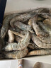 賣(mài)魚(yú)郎先生青島鹽凍大蝦凈重3.6斤 10-15只/斤 白蝦大蝦基圍蝦生鮮 蝦類(lèi) 曬單實(shí)拍圖