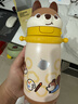 babycare兒童保溫杯嬰兒小松鼠寶寶1-3歲不銹鋼吸管水杯壺學(xué)生上學(xué)450ml 曬單實(shí)拍圖