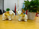 歐萊家招財(cái)大象擺件一對(duì)百財(cái)葫蘆家居玄關(guān)客廳電視柜喬遷入宅裝飾工藝品 TH財(cái)富吉祥對(duì)象擺件【一對(duì)禮盒裝】 曬單實(shí)拍圖